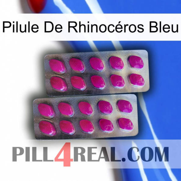 Pilule De Rhinocéros Bleu 10
